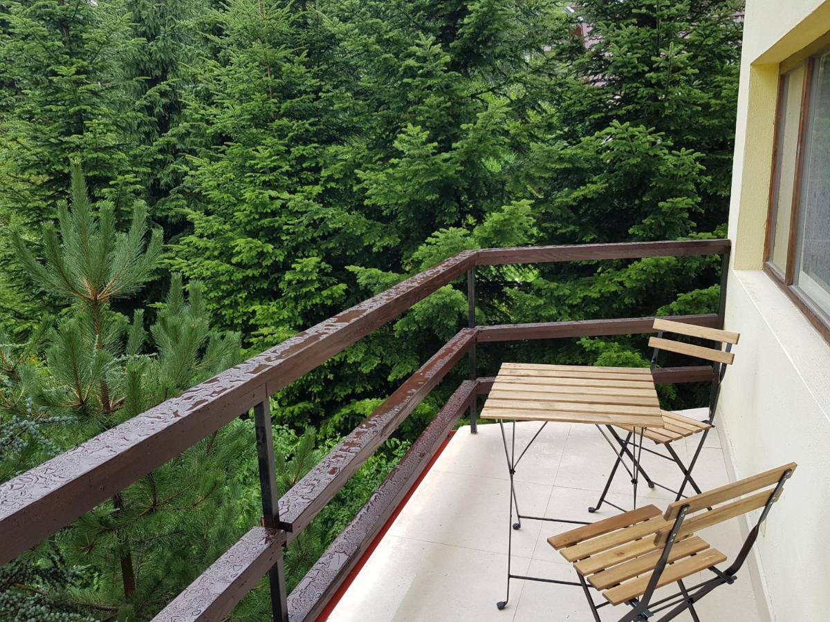 Forest Apartments By Olala Homes Sinaia Exterior foto